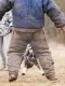 Homme contre Chien